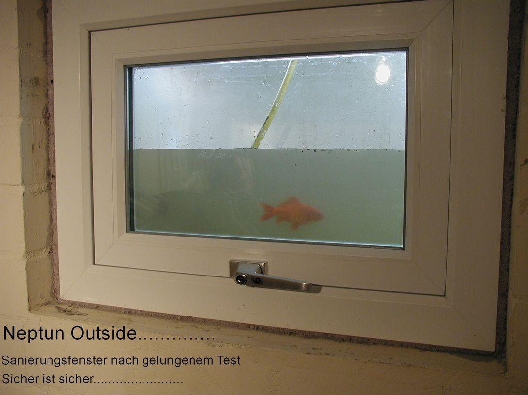 Kleines rechteckiges Fenster mit weißem Rahmen und Griff, durch das ein orangefarbener Fisch im Wasser zu sehen ist