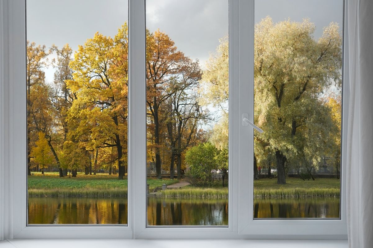 Blick durch ein Fenster auf einen Park mit herbstlich gefärbten Bäumen und einem Teich